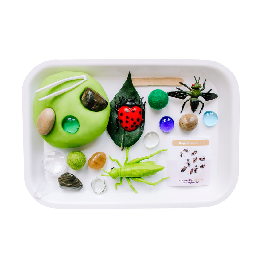 Children's Bugs Play Dough Sensory Kit