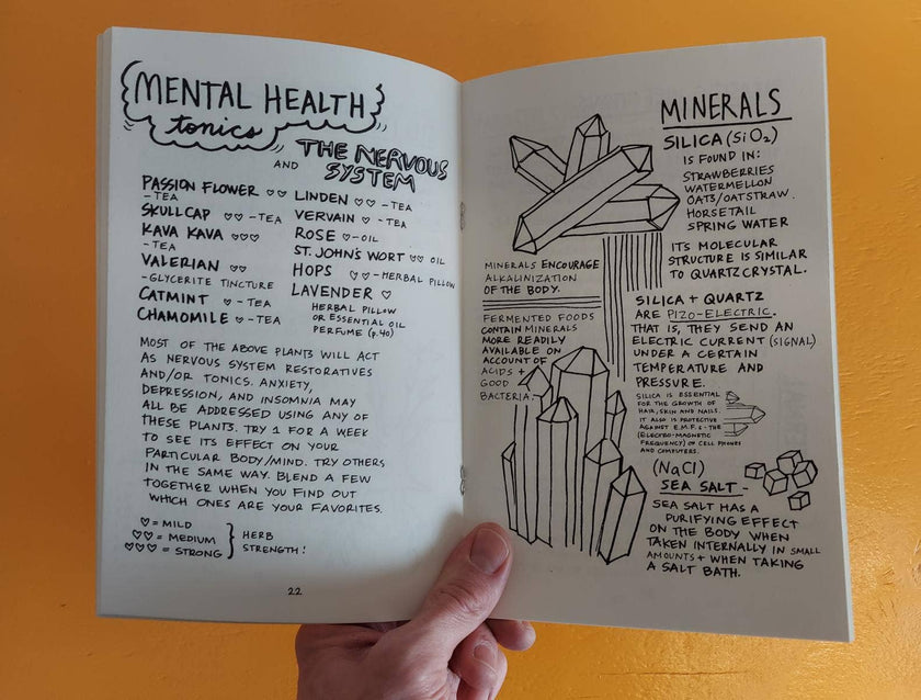 Healing Your Magical Body with Plants & Minerals (Zine)