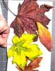 Nov 14 - Fall Leaves Notecards Workshop