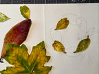 Nov 14 - Fall Leaves Notecards Workshop