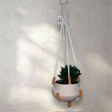 Spot of Color Plant Hanger