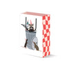 Trash Bag Raccoon, Rat, Pigeon Birthday Gift Bag