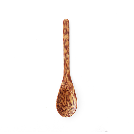 Coconut Spoon