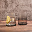 Set of 2 Empire DOF Tumblers Smoke